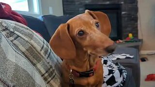 One Night Stands the CASUAL SEX GUIDE with Roxy Fox - porn video