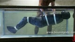 Josh and Van dominate Trent and Leo - porn video